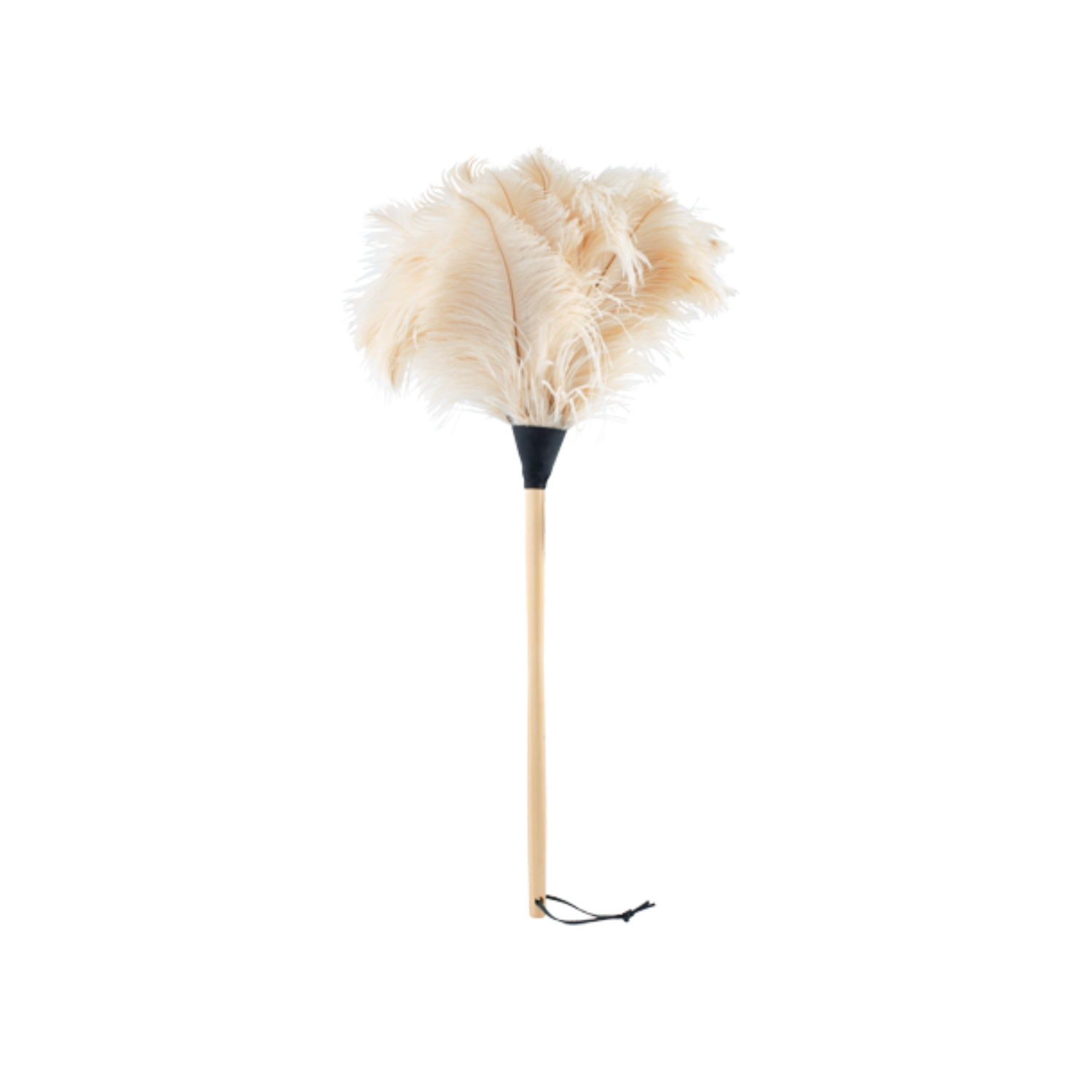 Ostrich feather duster